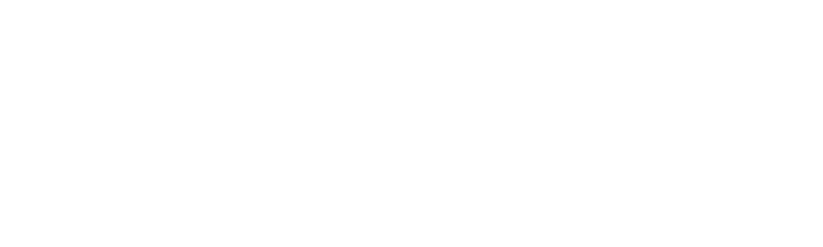 TPT Logo_White